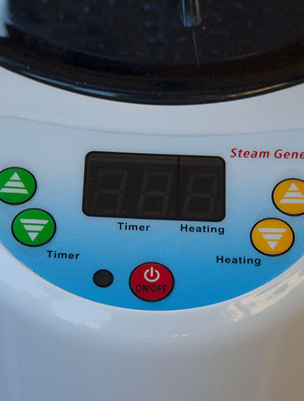 Comandi del generatore di vapore